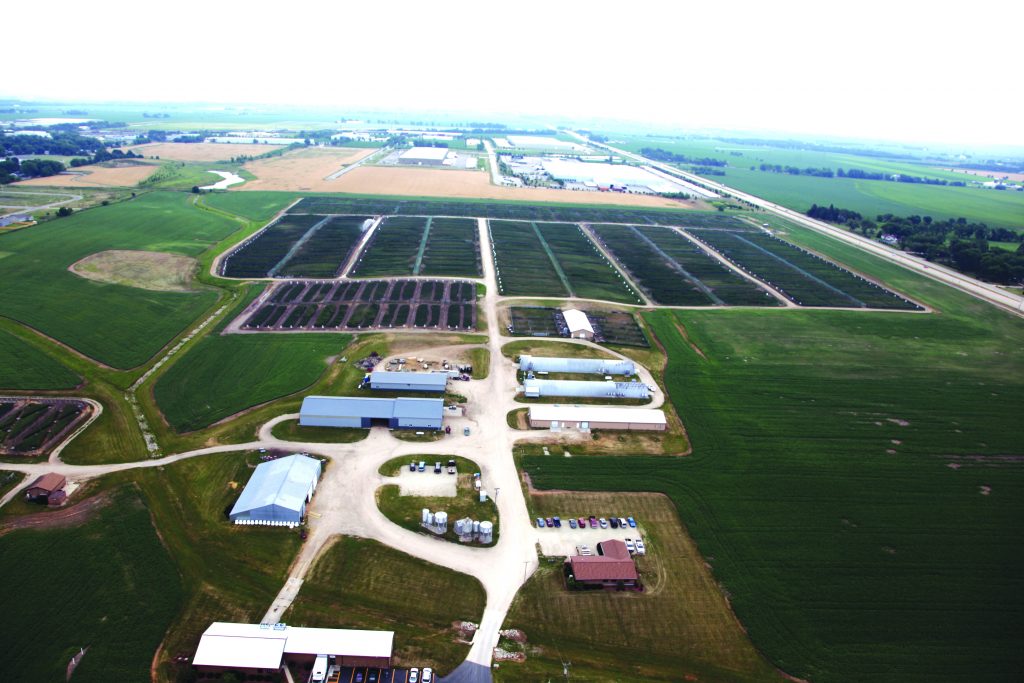 raising-pheasants-for-profit